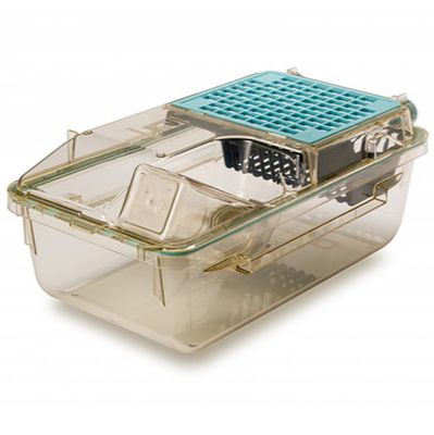 大小鼠独立通气笼IVC笼具