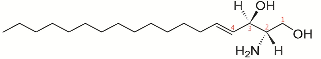 上海甄准鞘脂产品介绍