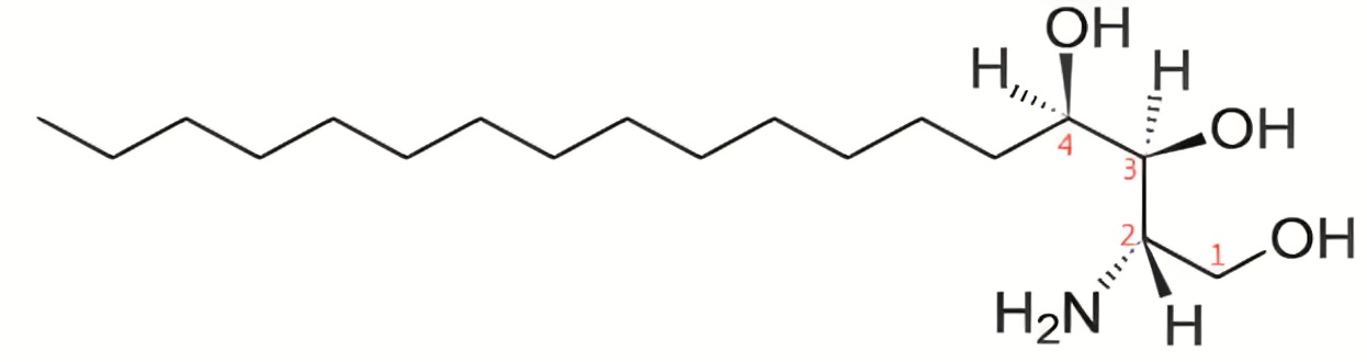 上海甄准鞘脂产品介绍