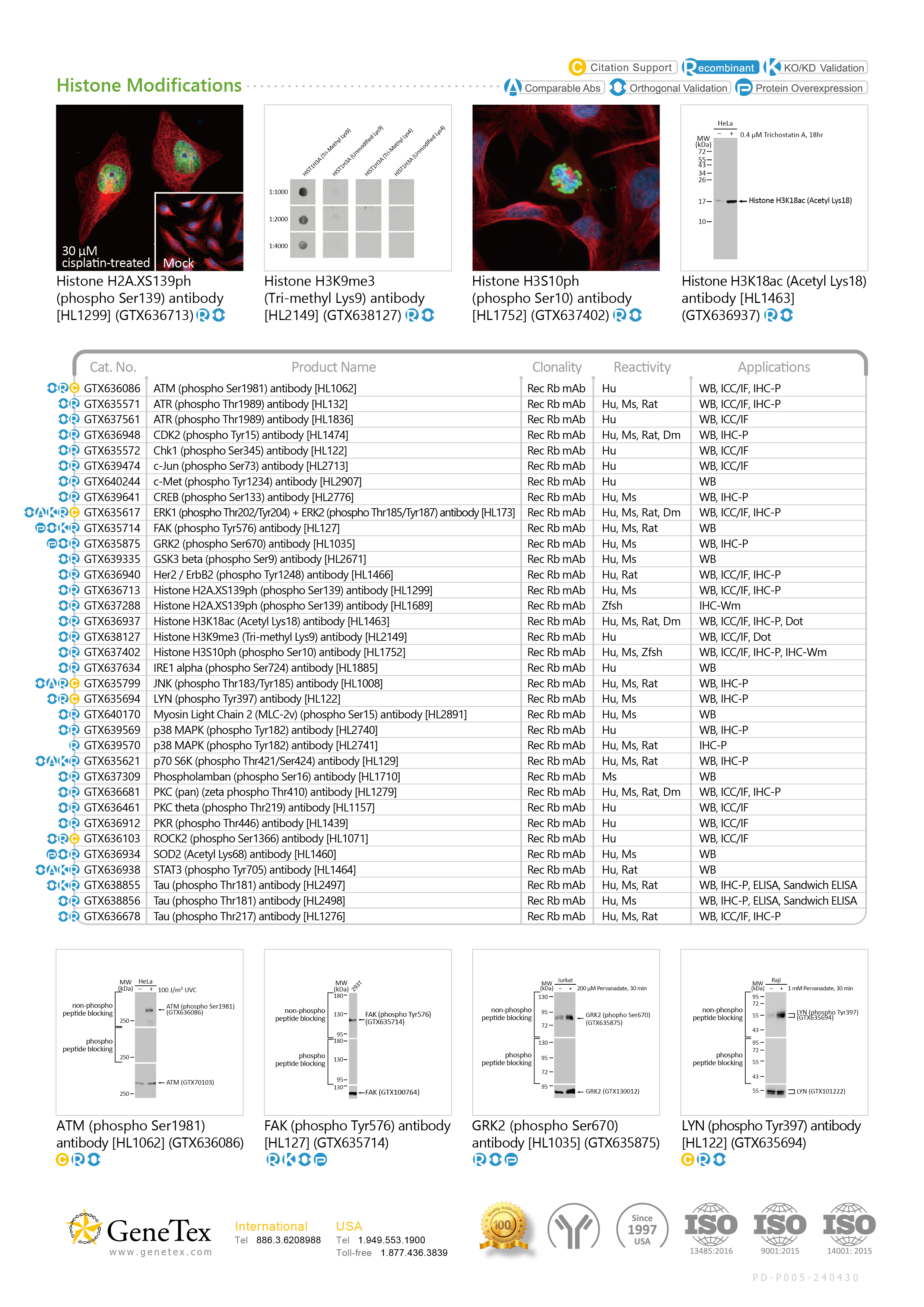 单页 -  转译后修饰