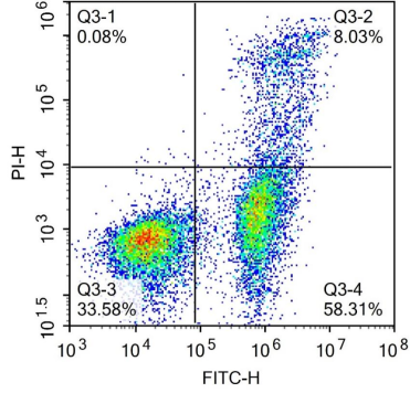 Annexin V细胞凋亡实验原理及流程