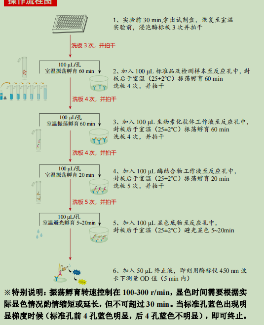产品细节图片2