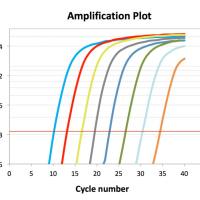 信号通路相关基因表达差异检测阵列｜qPCR Array