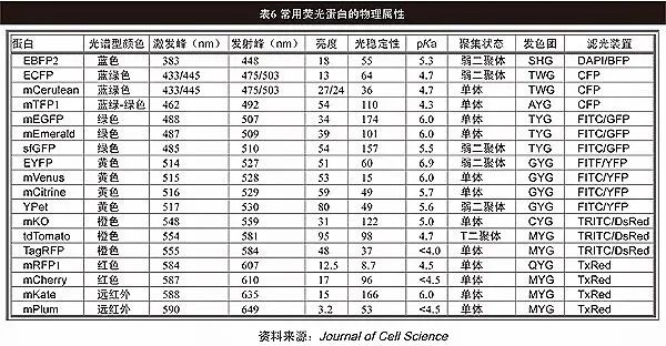 【Biorbyt畅销产品】tdTomato 抗体