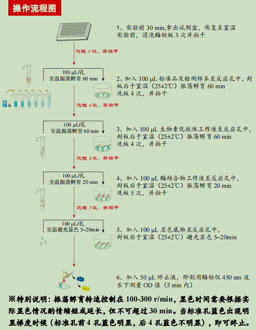 产品细节图片2