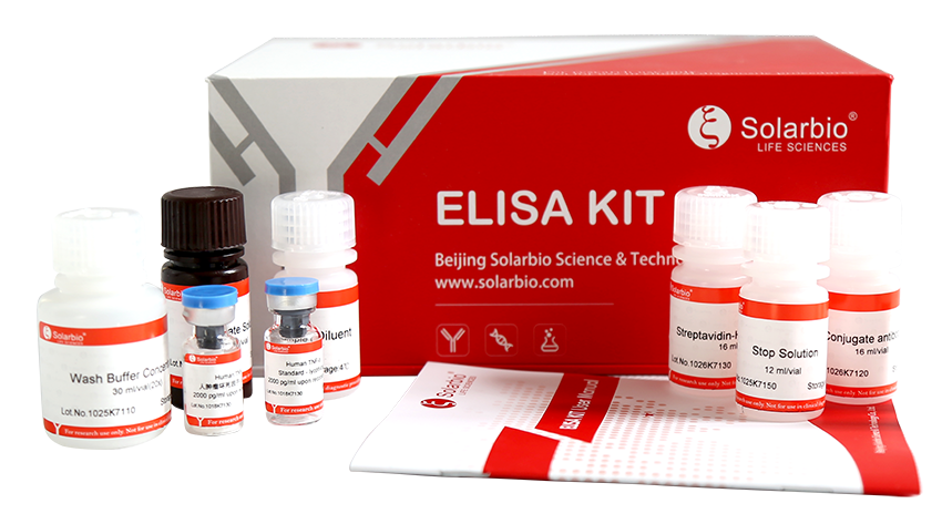 Porcine  CCL1 ELISA KIT