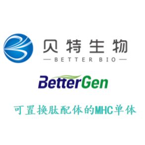 可置换肽配体的MHC单体