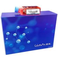 SK-MEL-2+luc细胞人皮肤黑色素瘤细胞luc稳转株