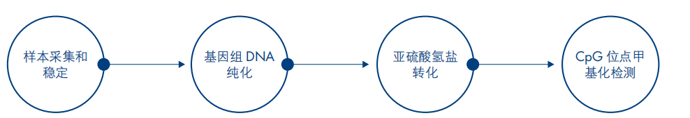 DNA甲基化新应用速递