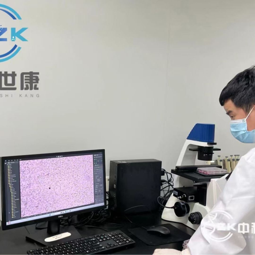 细胞实验/动物实验外包/分子实验/整体课题外包