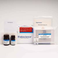 总胆固醇(TC)比色法测试盒(单试剂COD-PAP法) | Total Cholesterol (TC) Colorimetric Assay Kit (Single Reagent, COD-PAP Method)