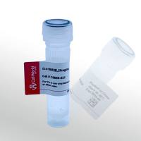 CellWorld G-418 选择性抗生素 C0660-621