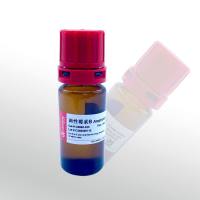 CellWorld 两性霉素B C0860-625