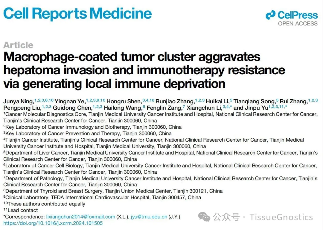 Cell子刊|Tissue Cytometry技术助力天津医科大学于津浦/李祥春团队探索HCC内部巨噬细胞新结构的免疫治疗作用