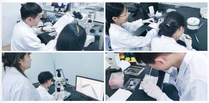 斑马鱼实验室建设+斑马鱼养殖+设备系统+技术授权培训+一站式