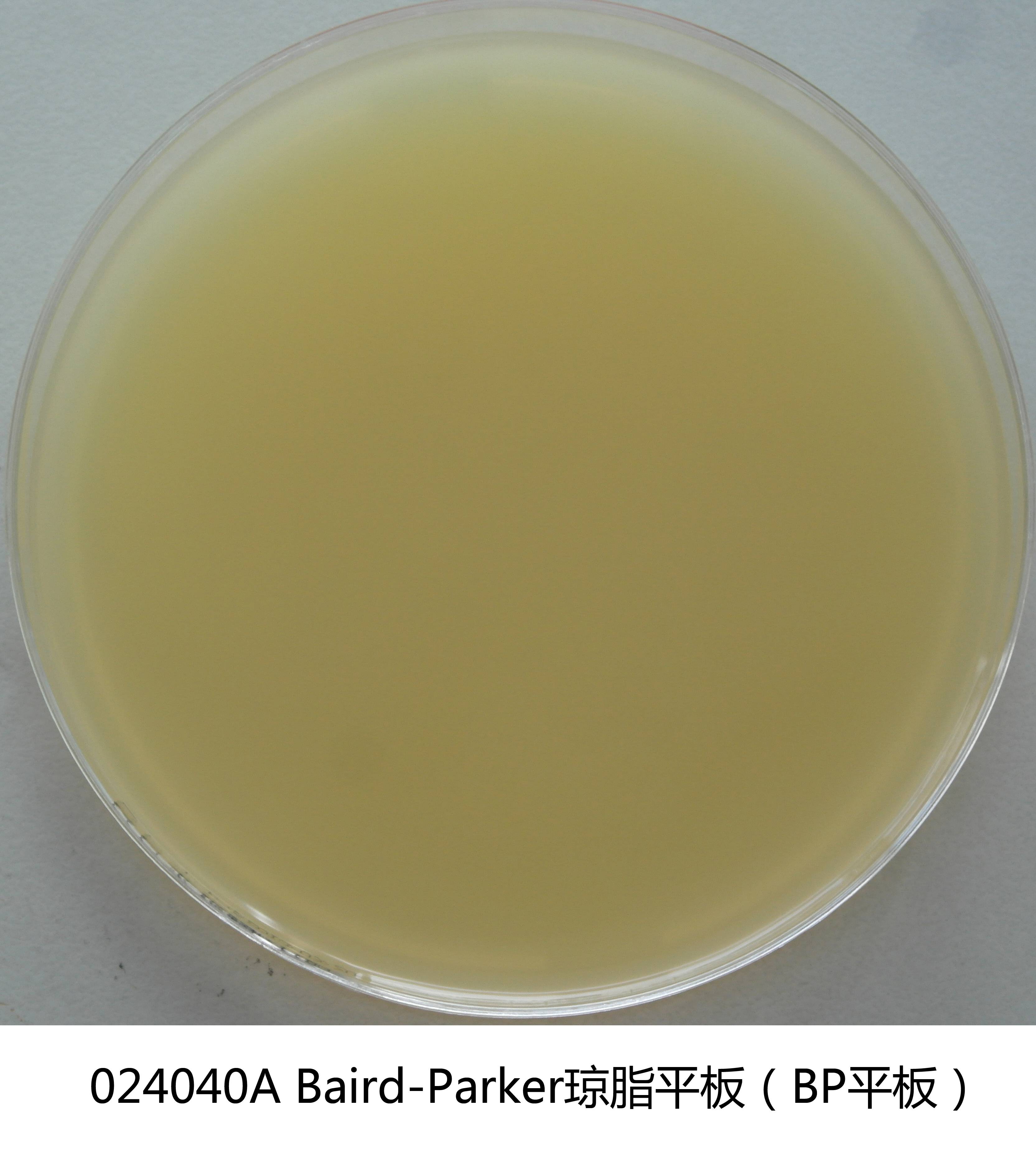Baird-Parker琼脂平板 Baird-Parker琼脂平板