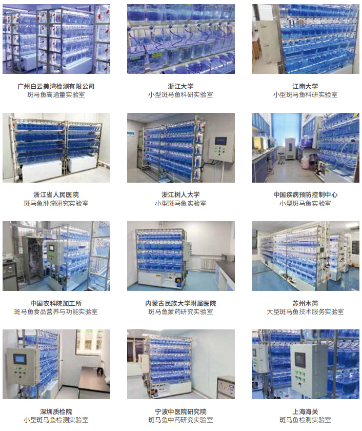 斑马鱼实验室建设+斑马鱼养殖+设备系统+技术授权培训+一站式