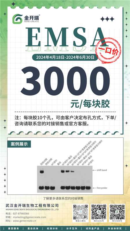 解放科研精力，EMSA技术服务特惠一口价！