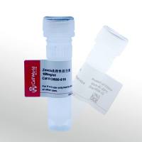  CellWorld Zeocin选择性抗生素(博莱霉素)  C0560-619