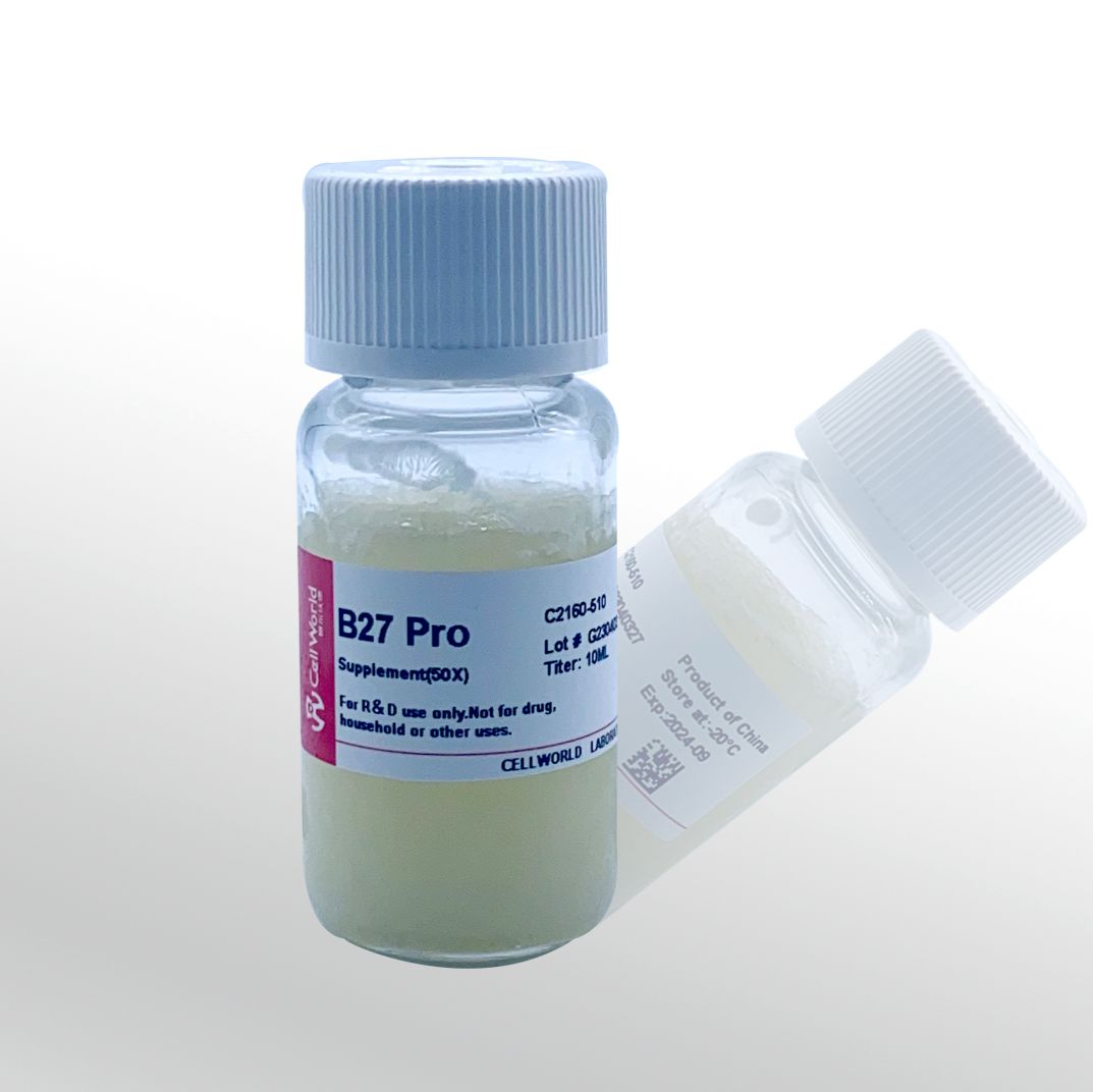 Cellworld B27无血清添加剂 C2160-510