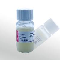 Cellworld B27无血清添加剂  C2160-510