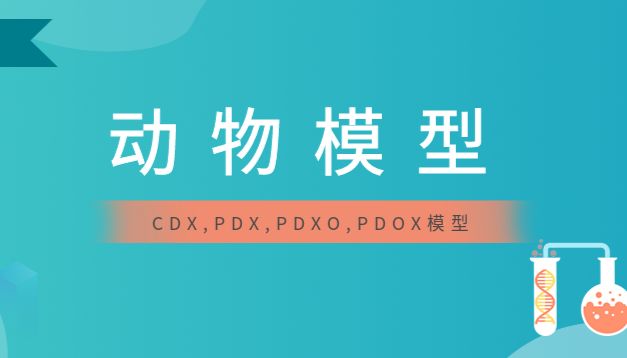 动物模型（CDX,PDX,PDXO,PDOX）如何选？芯超来帮您~