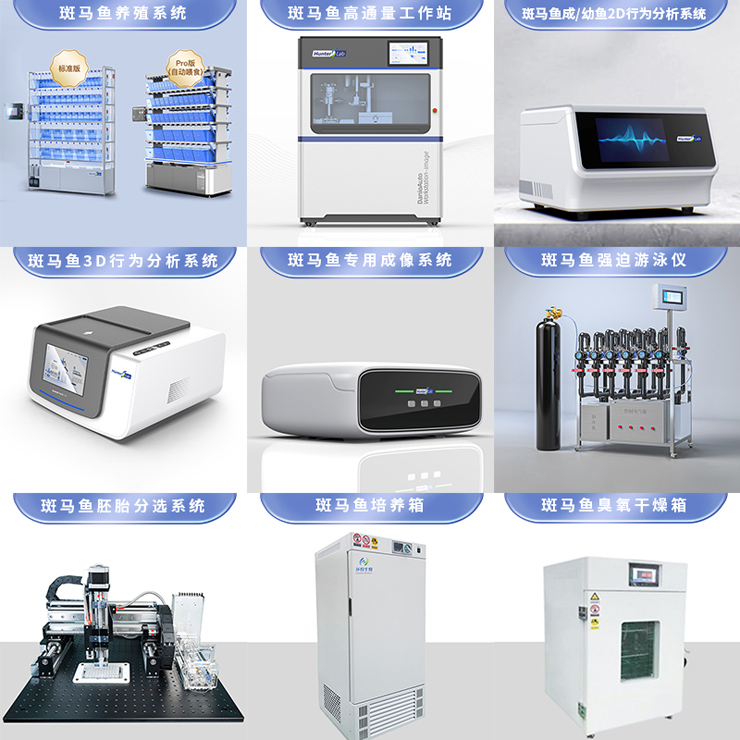 斑马鱼实验室建设+斑马鱼养殖+设备系统+技术授权培训+一站式