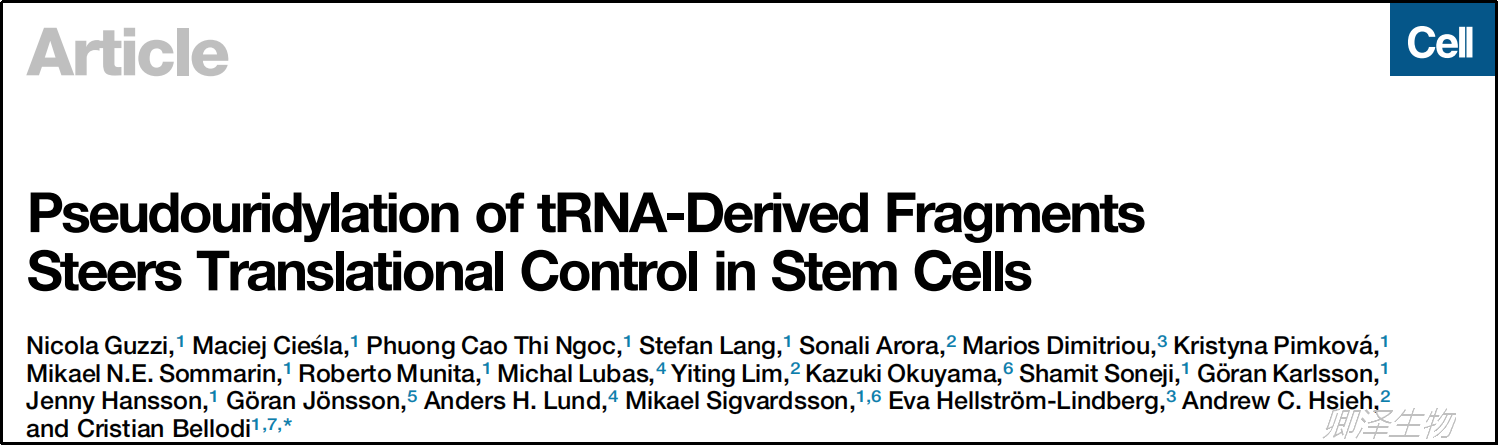 Cell | 假尿嘧啶化修饰介导干细胞中的翻译控制