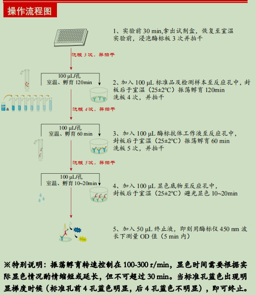 Human CD84/SLAMF5 ELISA Kit