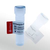 CellWorld 硫酸庆大霉素 C0460-617