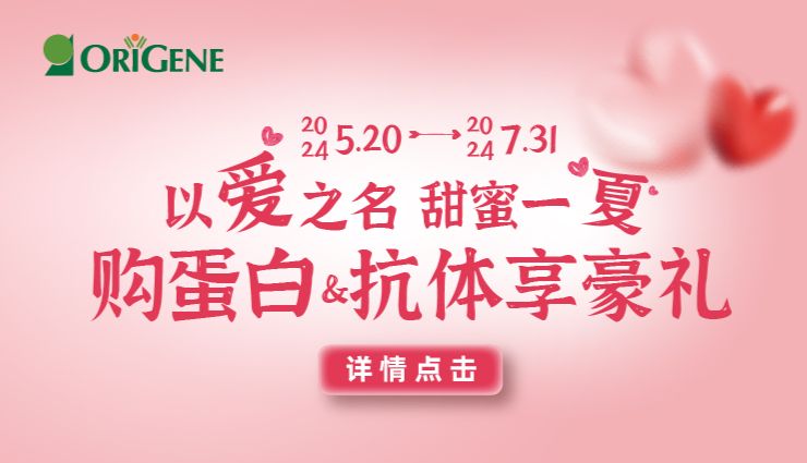 以爱之名·甜蜜一“夏”｜购买OriGene蛋白、抗体享L·O·V·E豪礼包~