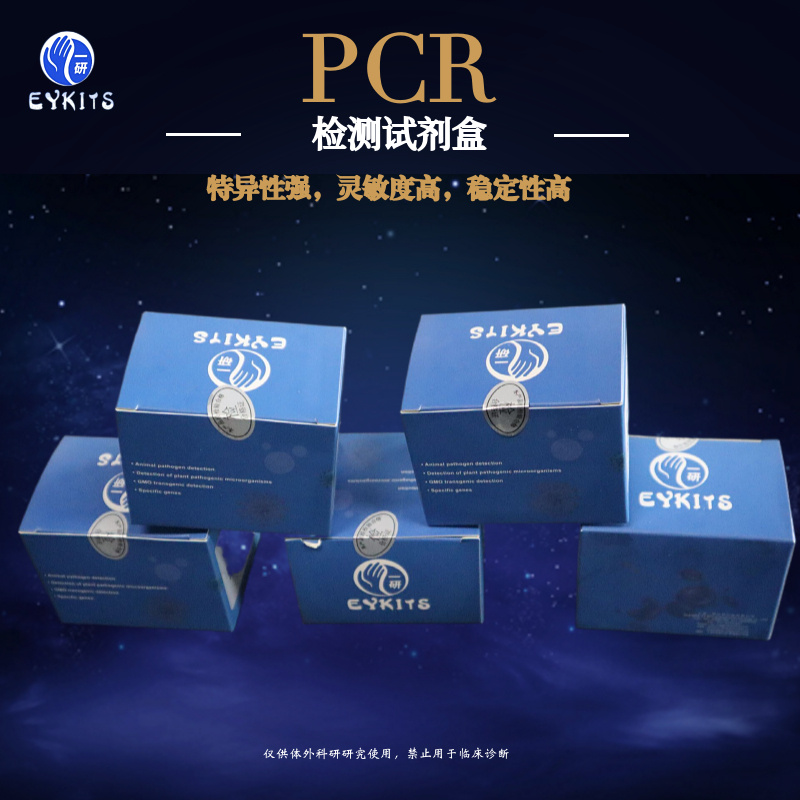 了解犬科研PCR检测试剂盒，让我们一起守护爱宠的健康