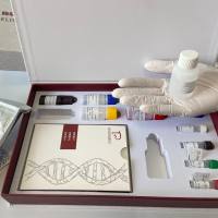 牛双糖链蛋白聚糖(BGN) ELISA 试剂盒