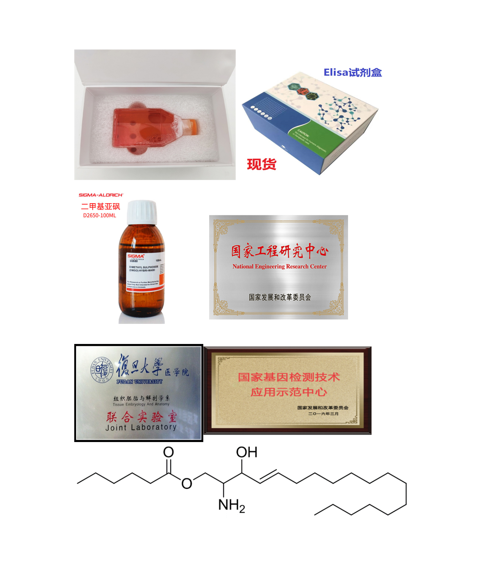 猪肾细胞系；PK15细胞