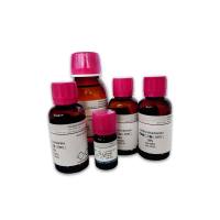 Recombin human PAGE5 protein