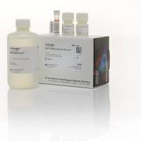 Q32854  Invitrogen  Qubit  dsDNA HS Assay Kit试剂盒