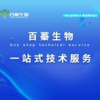 百蓁生物一站式质谱技术服务（蛋白质测序/抗体测序/新抗原/糖蛋白质组学/生物药表征）