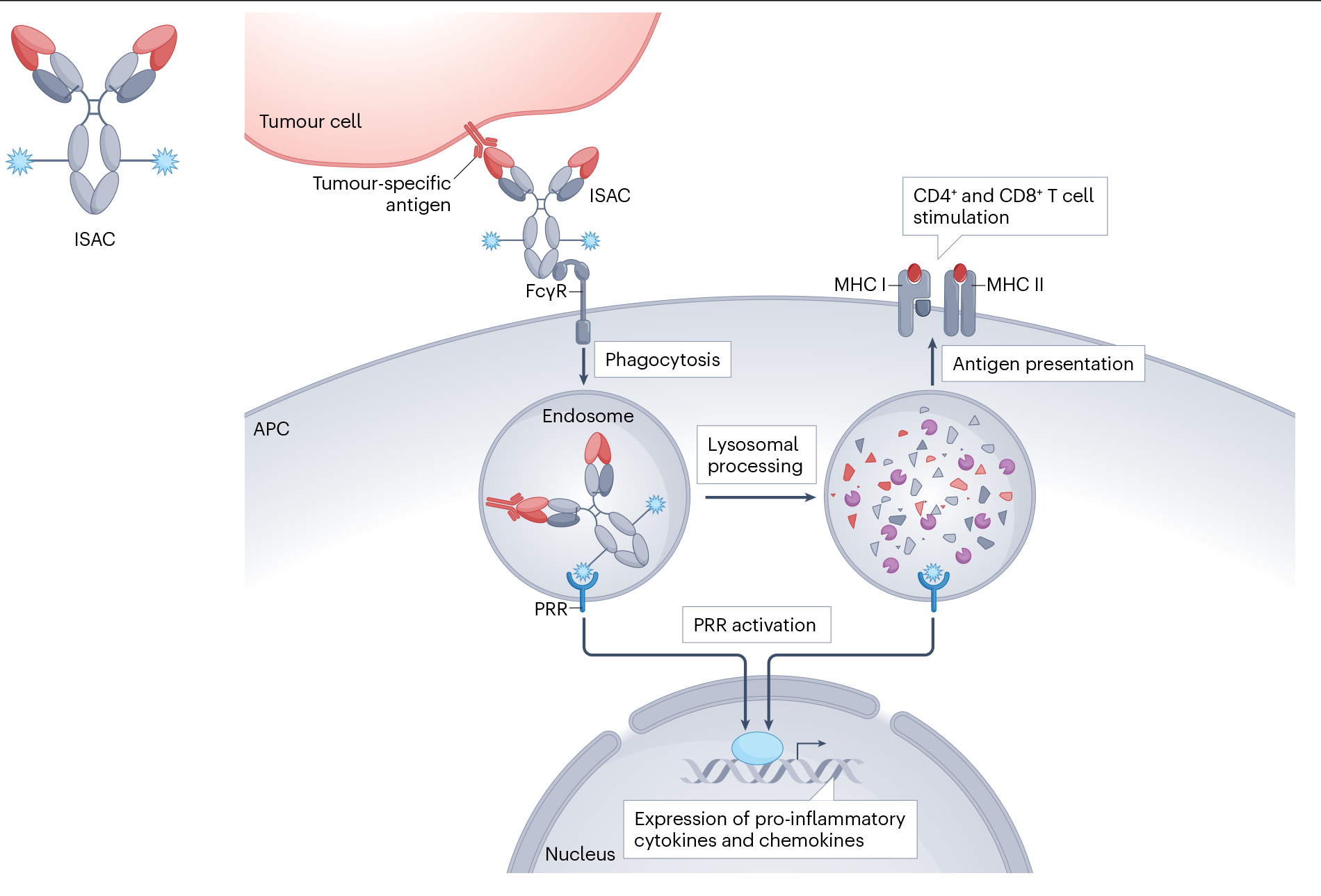 改变癌症治疗？超100亿美元市场？超100种靶点？