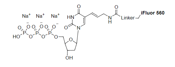 AAT Bioquest iFluor 560-dUTP *