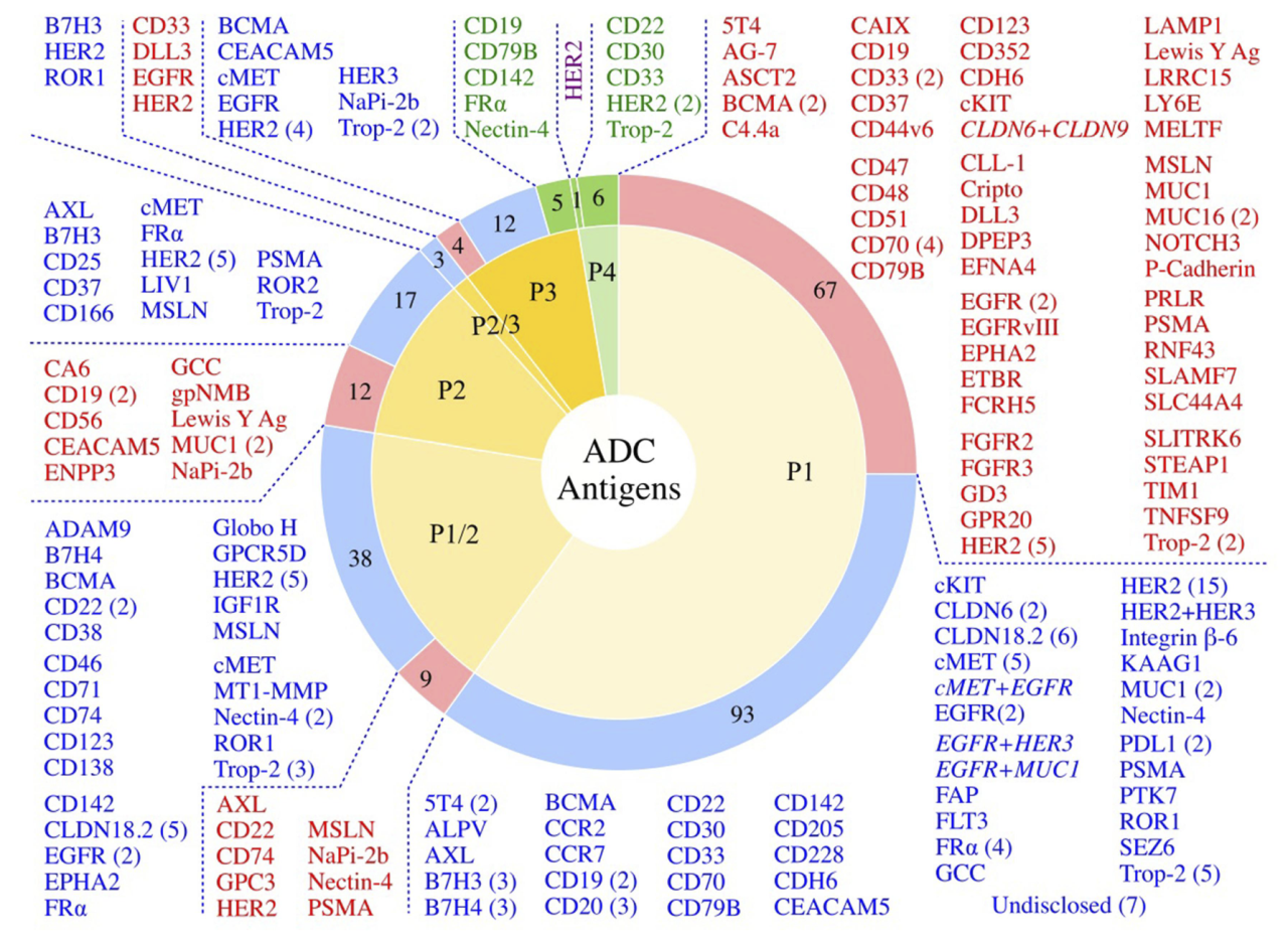 改变癌症治疗？超100亿美元市场？超100种靶点？