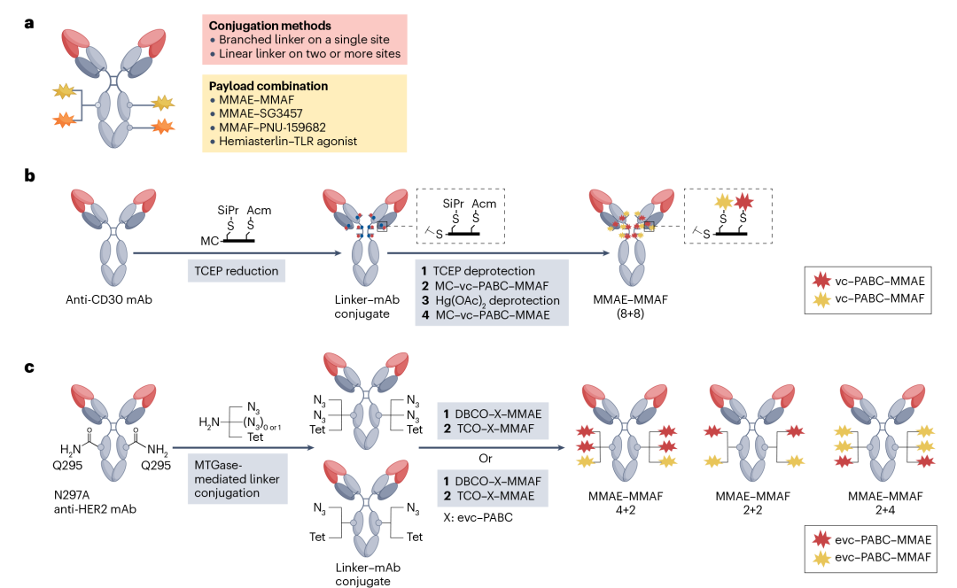 改变癌症治疗？超100亿美元市场？超100种靶点？