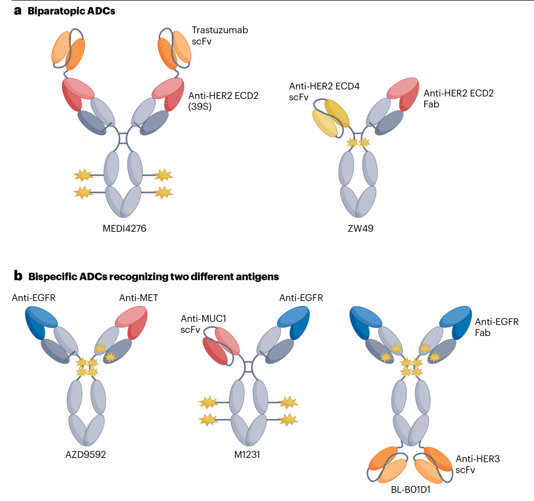 改变癌症治疗？超100亿美元市场？超100种靶点？