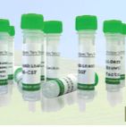 Recombinant S.alm.one.lla typ.him.uriu.m Uridine phosphorylase