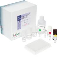 西*尼*罗河病毒酶联免疫检测试剂盒