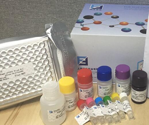 ELISA试剂盒选择需考虑的原则归纳