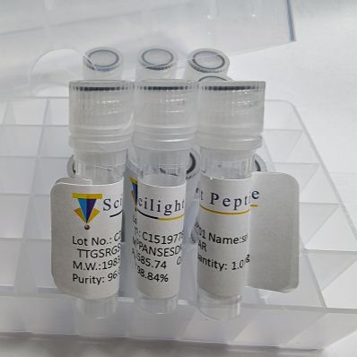 (XXLY)6SSSG SS 多肽