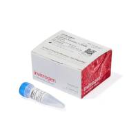 11668027   Invitrogen  试剂 Lipofectamine2000 原装正品