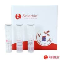 Anti -Sarcomeric Alpha Actinin Polyclonal