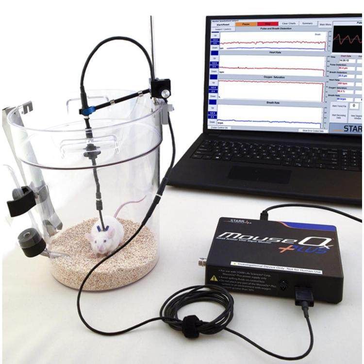 小鼠无创生理监护仪 大鼠和小鼠脉搏血氧仪