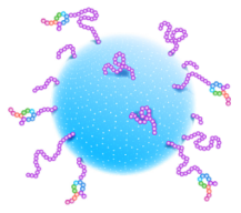 Vector Laboratories｜用于生物偶联疗法BioDesign™ dPEG® Linker连接平台